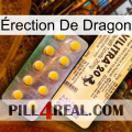 Érection De Dragon new06